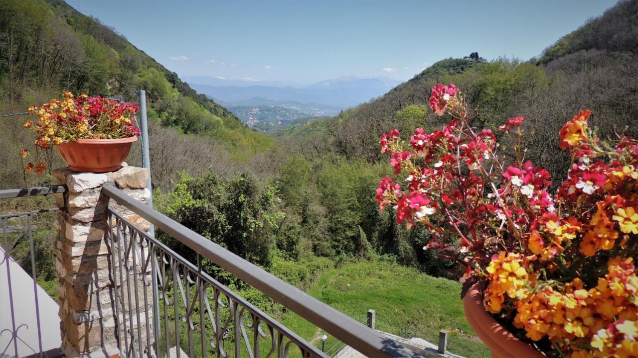 Borgo Di Codeglia - Country